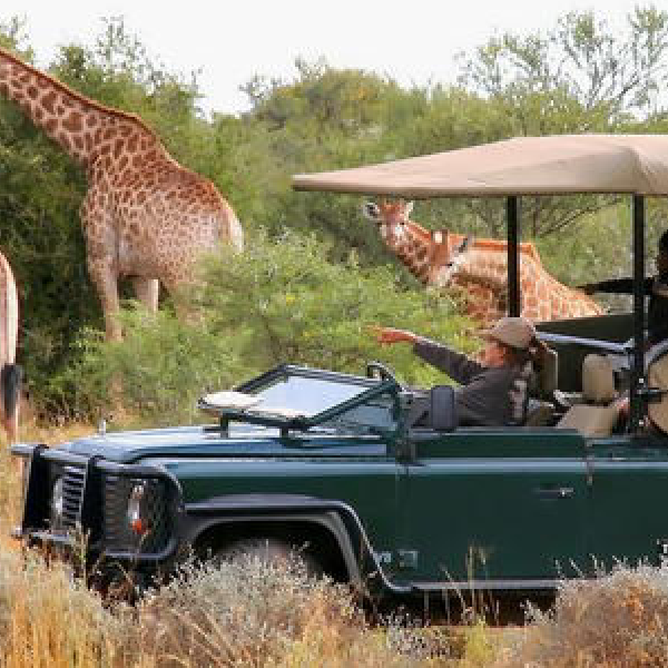 12 DAYS COMBINED KENYA AND TANZANIA BUDGET GROUP JOINING SAFARI